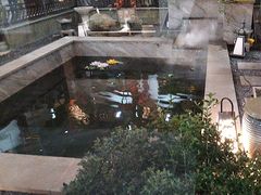 -映像威海·海鲜味道(市区店)