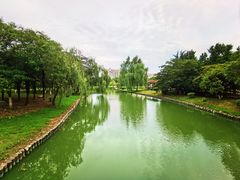 -中央公园(苏州工业园区)