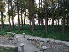 -上海财经大学(国定路校区)