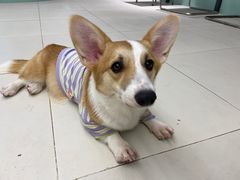 -怪兽屋·羊驼·猫咖·狗咖(俊华广场店)