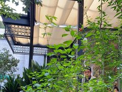 -玛格萝妮比萨屋(四平店)