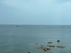 -海岛日记(养马岛店)