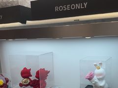 -ROSEONLY诺誓(广州K11店)