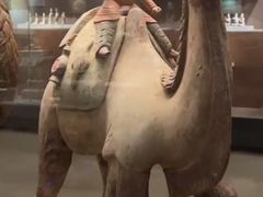 -西安大唐西市博物馆