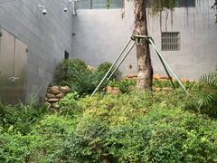-石排湾郊野公园