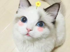 -天天玩X秋葉原日系动漫游戏中心