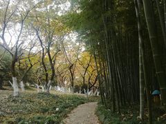 -太湖饭店·寄畅轩中餐厅