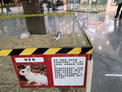 -凯德广场(学府店)