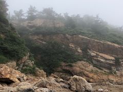 -棒棰岛宾馆景区