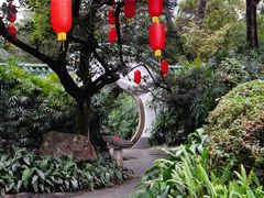 -广州兰圃
