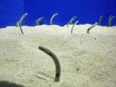 -上海海洋水族馆