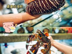 -呀诺达热带雨林