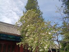 -大钟寺古钟博物馆