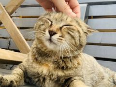 -前叁門