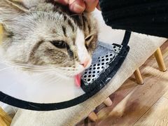 -白兔子密室(长寿路店)