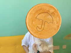 -猫在这儿猫咪咖啡馆·撸猫馆