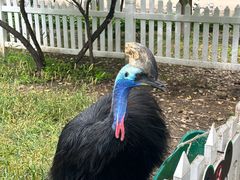 -哈尔滨北方森林动物园