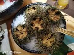 -割烹旭日本料理(龙湖狮山天街店)