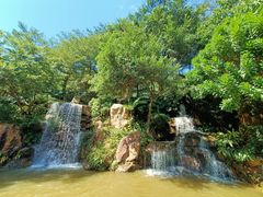 -广州市帽峰山景区