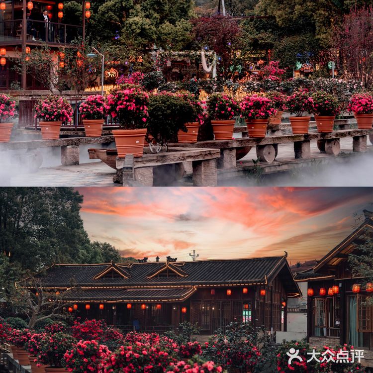 重庆小众拍照地｜隐藏在南山上的花海火锅公园