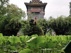 -四川大学(华西校区)