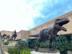 -自贡恐龙博物馆