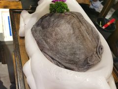 -大龙燚火锅(春熙店)