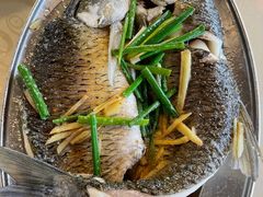 -竹庄餐馆·26年店(南昆山景区店)