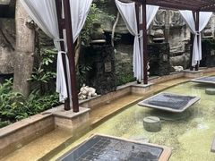 -海口观澜湖火山温泉谷