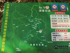 -佛山市三水区大南山森林公园