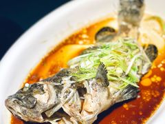 清蒸老虎斑-徐记海鲜(大明宫|北二环店)