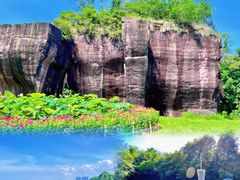 -广州莲花山旅游区