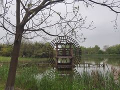 -苏州太湖国家湿地公园