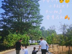 -美的鹭湖森林度假区