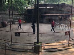 -石燕湖生态旅游景区