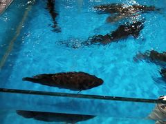 -世纪家家福生活广场(和义店)