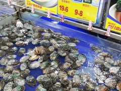 -渔民新村(番禺总店)