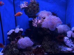 -多彩贵州城极地海洋世界