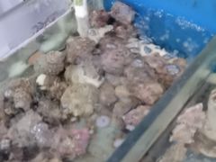 -北港方记海鲜楼·海景餐厅