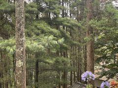 -寂照庵