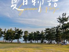 -小麦岛公园