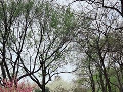 -永定河休闲森林公园