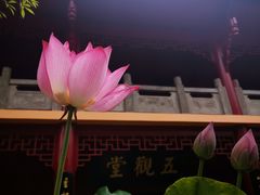 -南岳明心寺