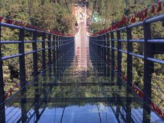 -九龙江国家森林公园