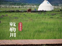 -敕勒川草原