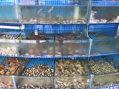 水产区-蟹谢蒸鲜自助餐厅