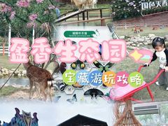 -盈香心动乐园