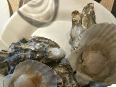 -星伦多 自助料理(圆融店)