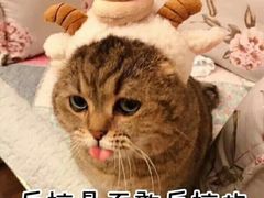 -大唐BINGO主题酒吧互动式KTV(苏宁生活广场店)