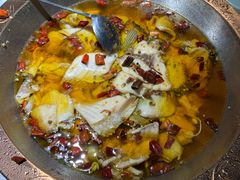 -雲蜀龙阁·金牌水煮鱼(方庄店)